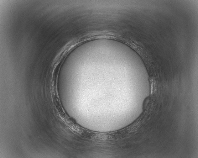 X0000081280339200701110940