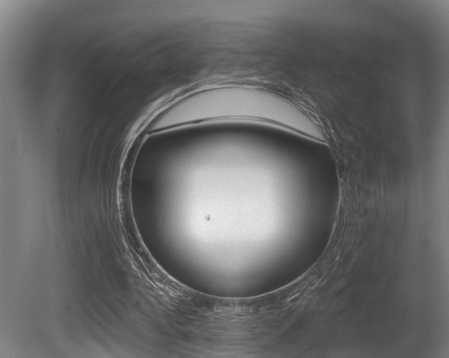 X0000081280340200701110940