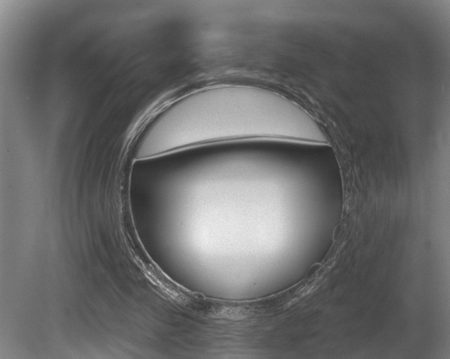 X0000081280341200701110940