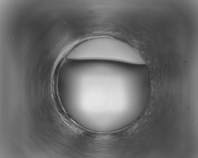X0000081280342200701110940
