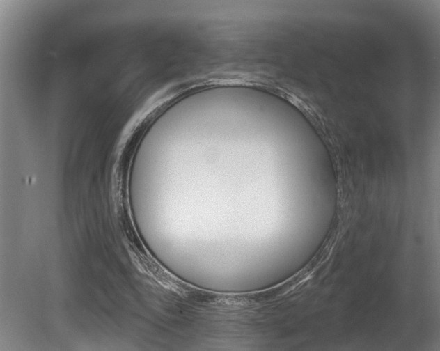X0000081280343200701110940