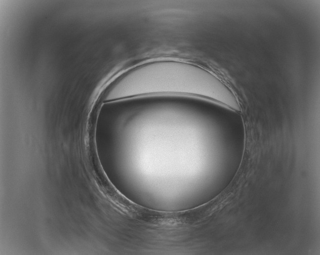 X0000081280344200701110940