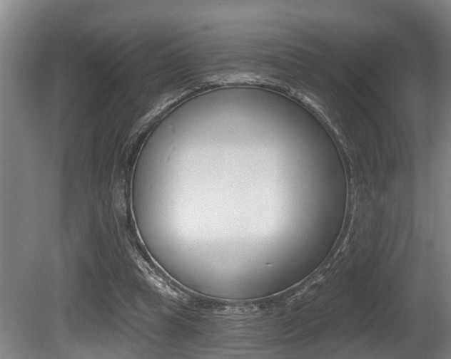 X0000081280345200701110940