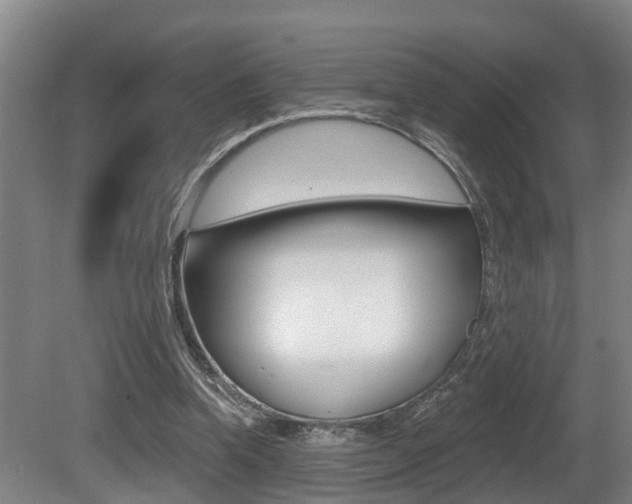 X0000081280346200701110940