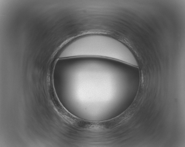X0000081280348200701110940