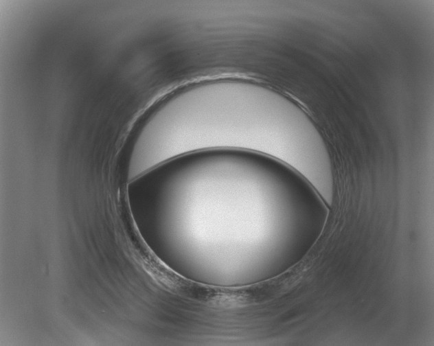 X0000081280350200701110940