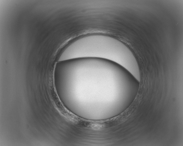 X0000081280352200701110940
