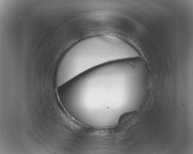 X0000081280353200701110940