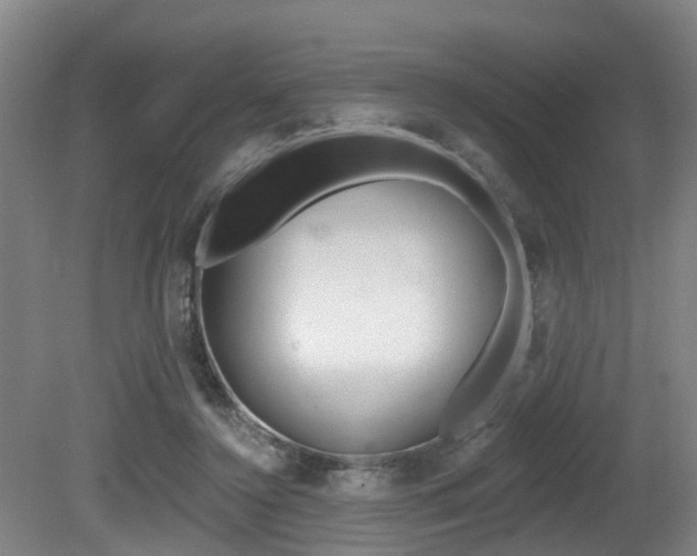 X0000081280356200701110940
