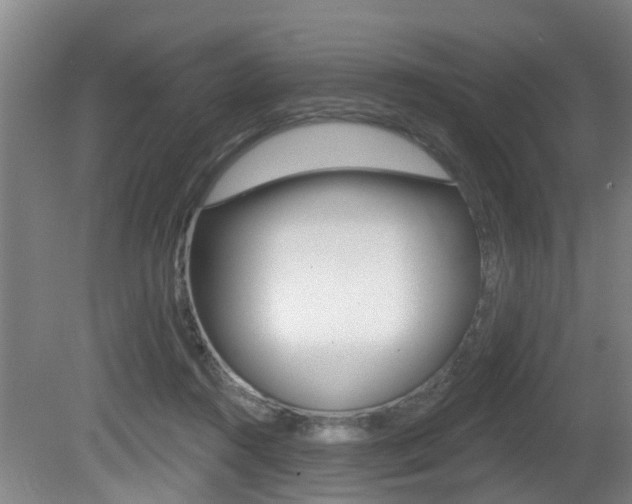 X0000081280360200701110940