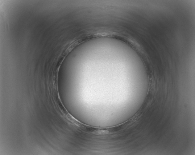 X0000081280361200701110940