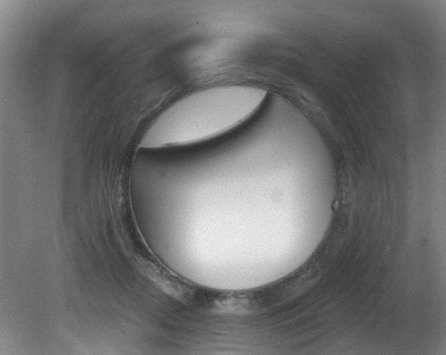 X0000081280362200701110940