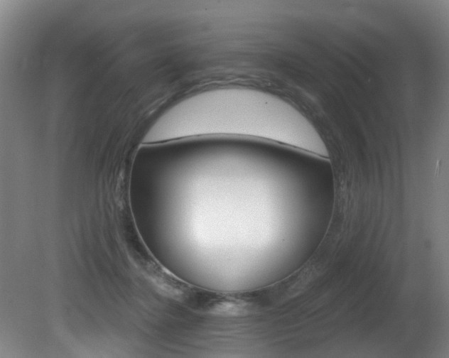 X0000081280364200701110940