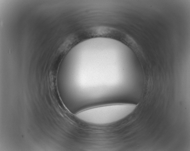X0000081280366200701110940