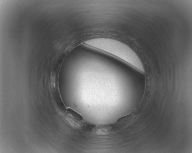 X0000081280368200701110940