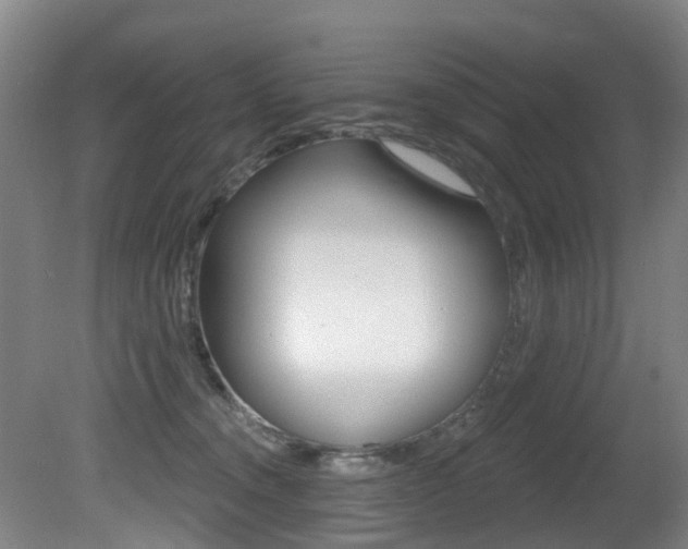 X0000081280372200701110940