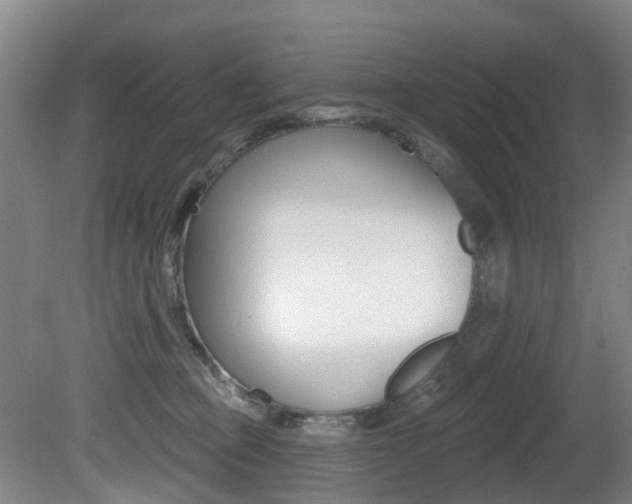 X0000081280373200701110940