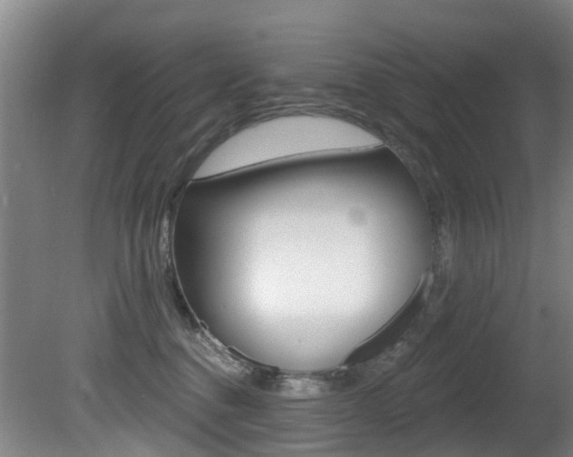 X0000081280376200701110940