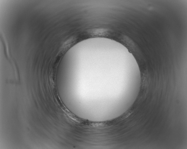 X0000081280377200701110940