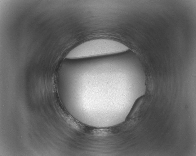 X0000081280378200701110940