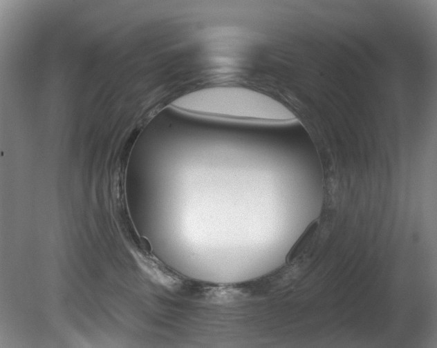 X0000081280379200701110940