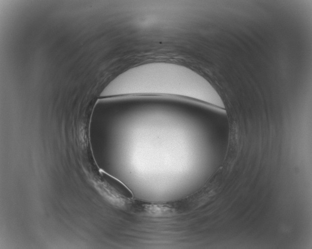 X0000081280380200701110940