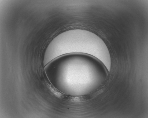 X0000081280382200701110940