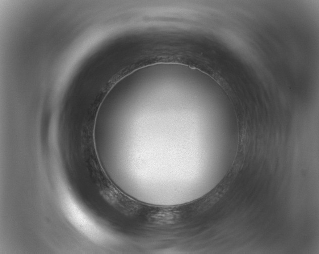 X0000081280383200701110940