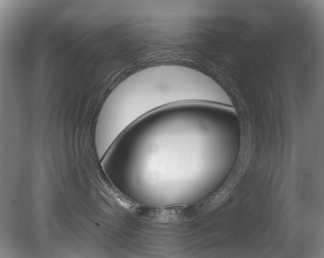 X0000081280384200701110940