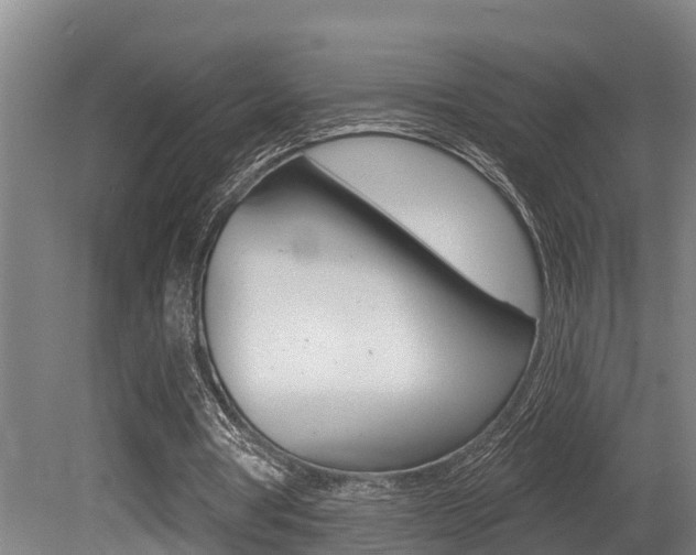 X0000081280386200701110939
