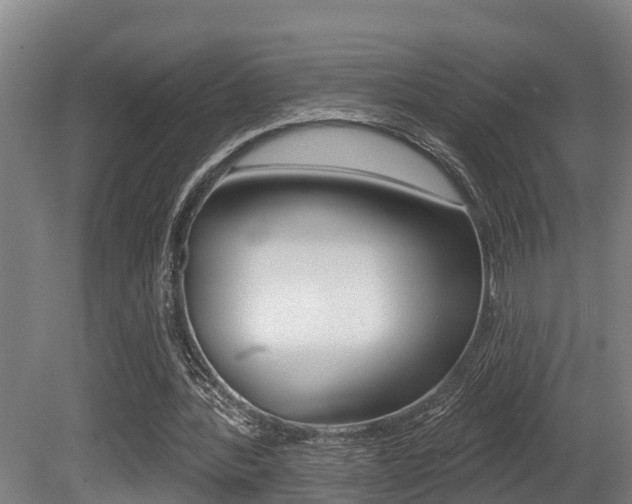 X0000081280388200701110939