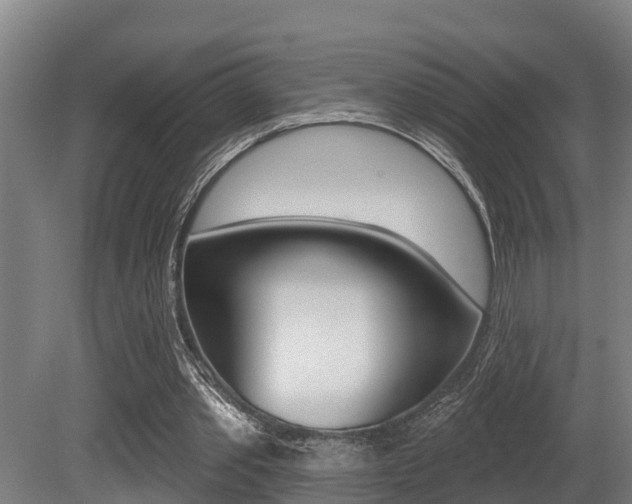 X0000081280389200701110939