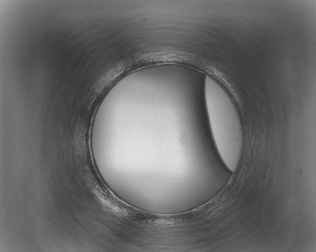 X0000081280394200701110939