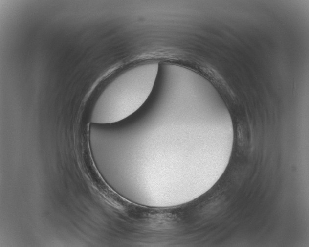 X0000081280396200701110939