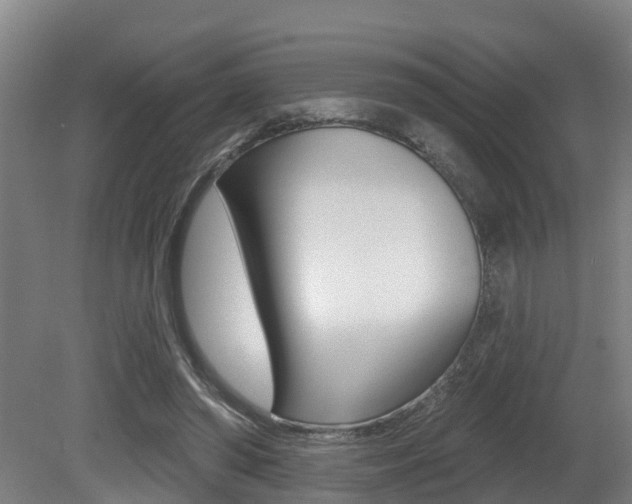 X0000081280398200701110939
