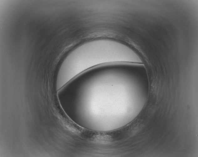 X0000081280403200701110939