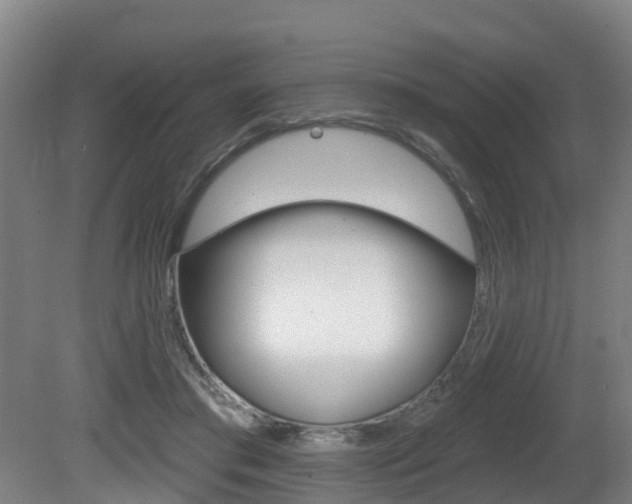 X0000081280405200701110939