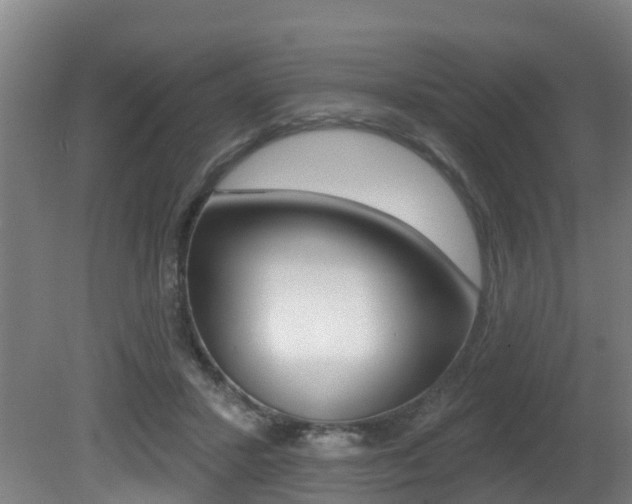 X0000081280407200701110939