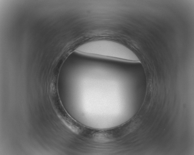 X0000081280408200701110939