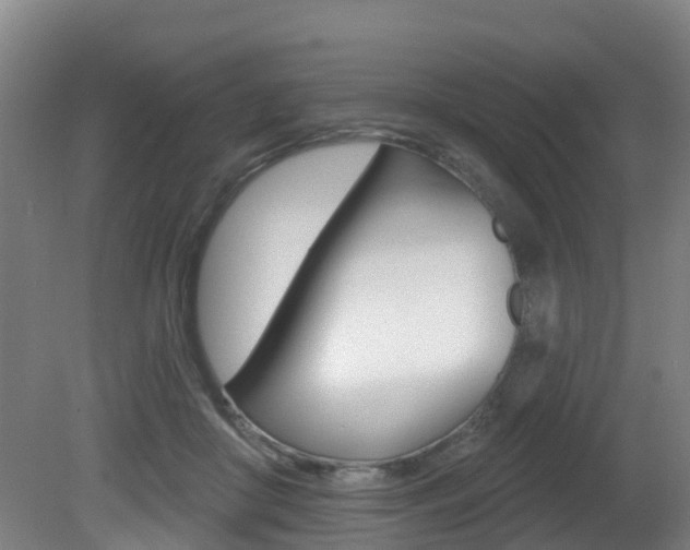 X0000081280410200701110939