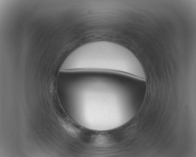 X0000081280412200701110939