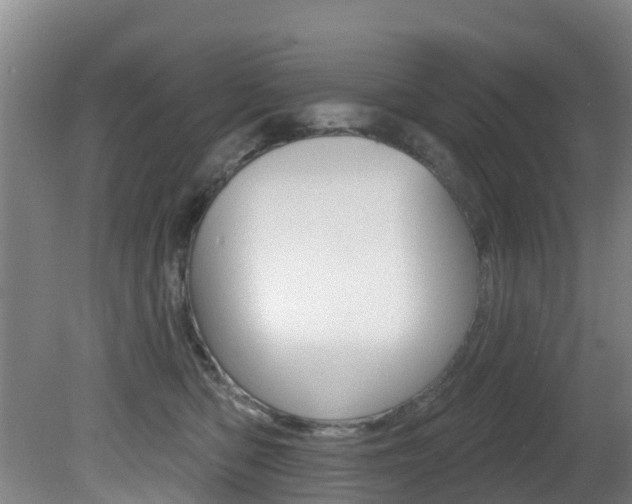 X0000081280422200701110939