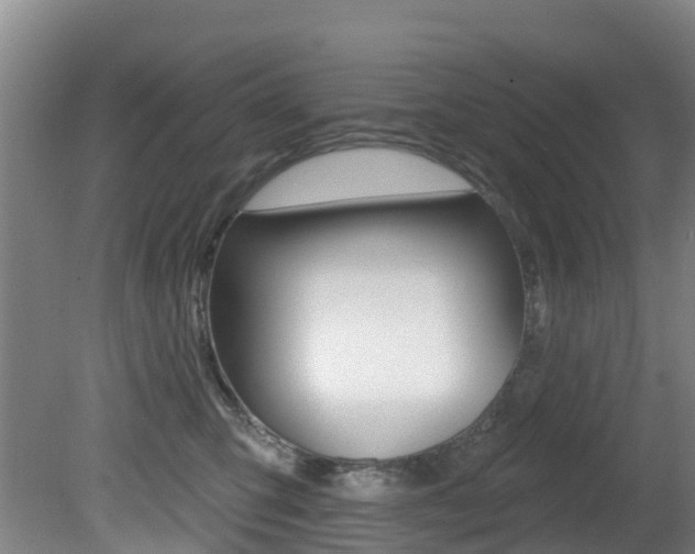 X0000081280423200701110939