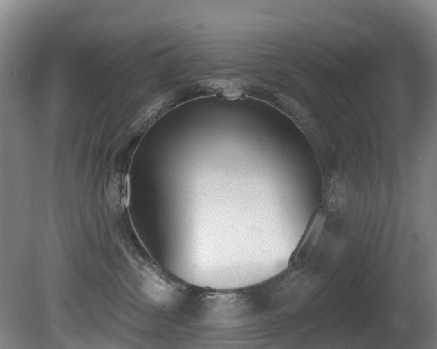 X0000081280428200701110939