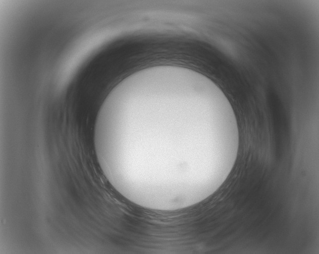 X0000081280431200701110939