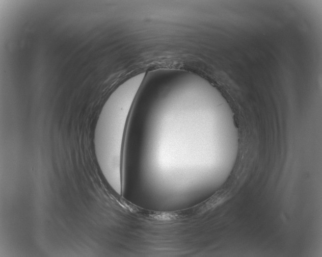 X0000081280432200701110939