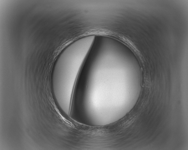 X0000081280433200701110938