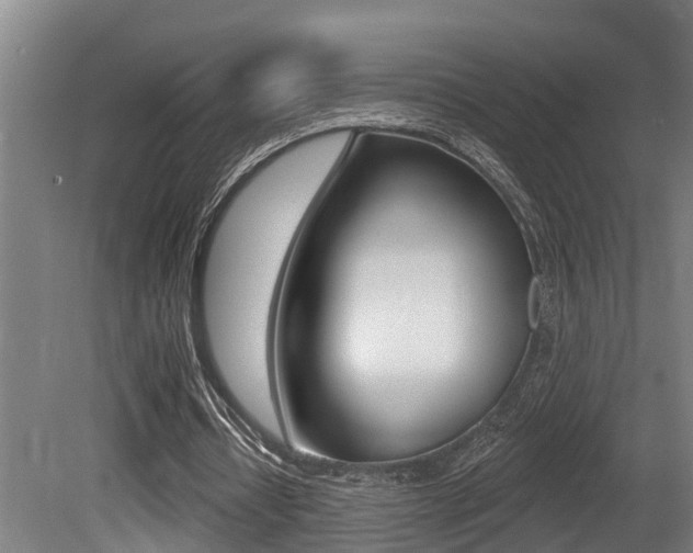 X0000081280434200701110938