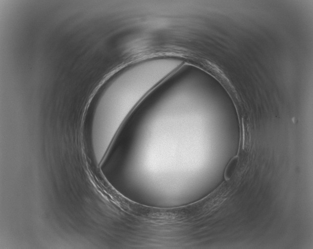 X0000081280435200701110938