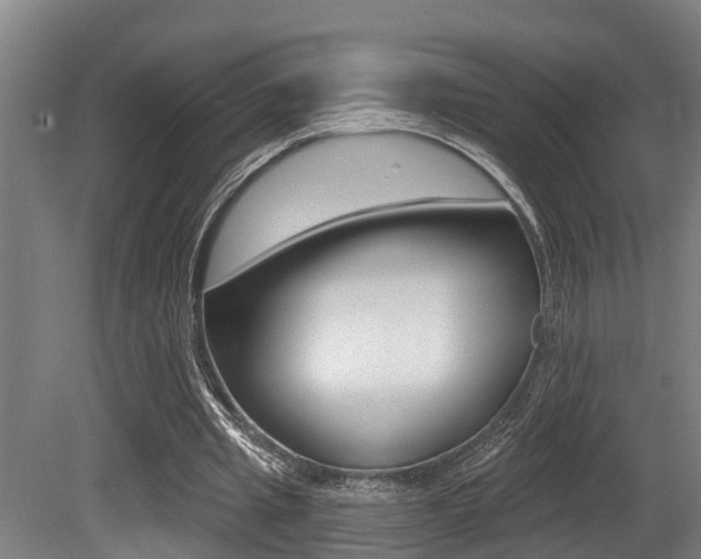 X0000081280437200701110938